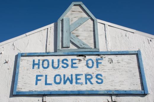 K House of Flowers. 5249 N Milwaukee Ave.